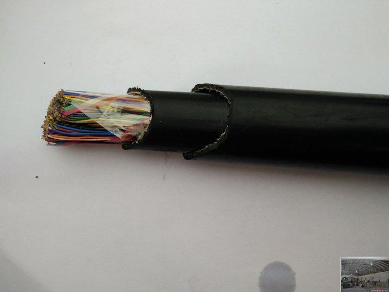防蟻電纜