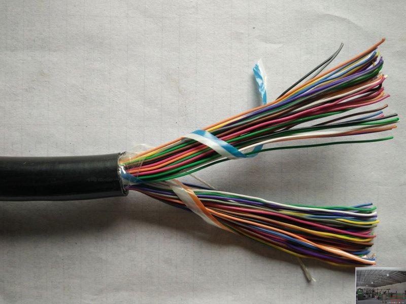 防蟻電纜